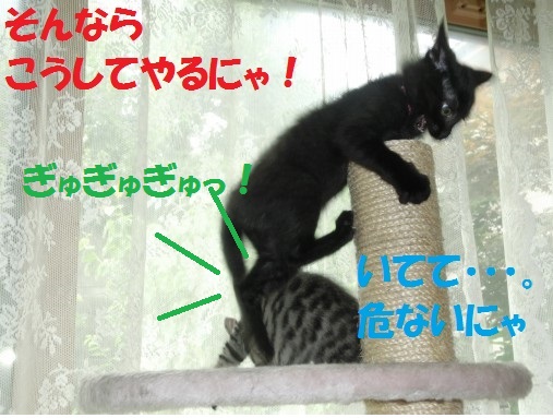 20130710-7.jpg