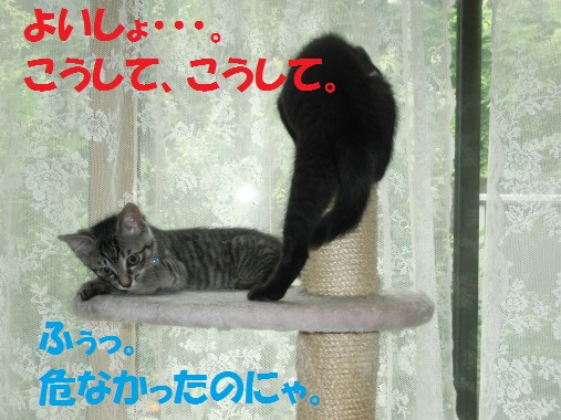 20130710-8.jpg