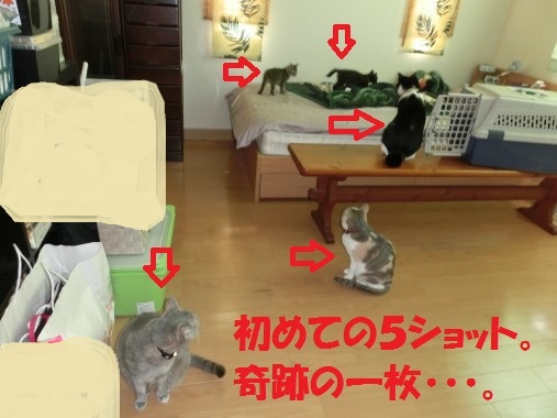 20130711-001.jpg