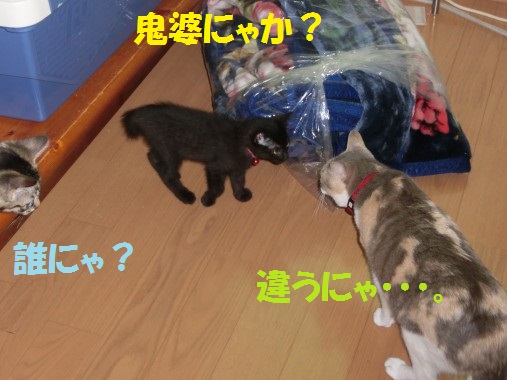 20130711-002.jpg
