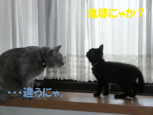 20130711-003.jpg