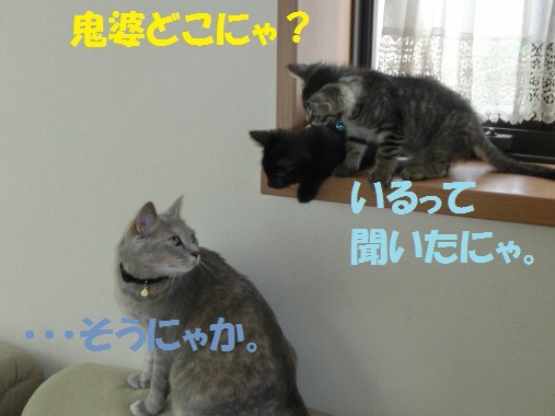 20130711-004.jpg