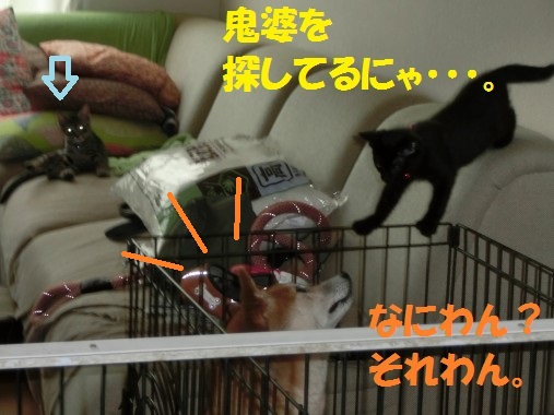 20130711-005.jpg