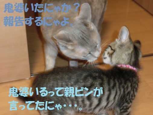 20130711-006.jpg