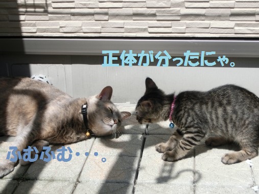20130711-008.jpg