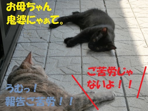 20130711-009.jpg