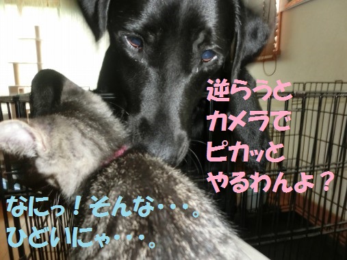20130711-010.jpg