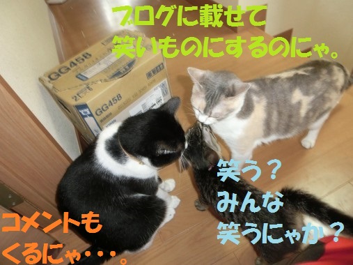 20130711-012.jpg