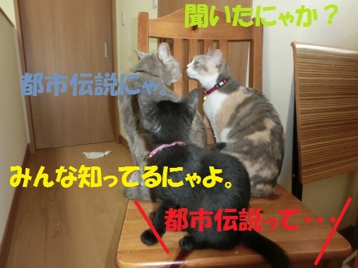20130711-014.jpg