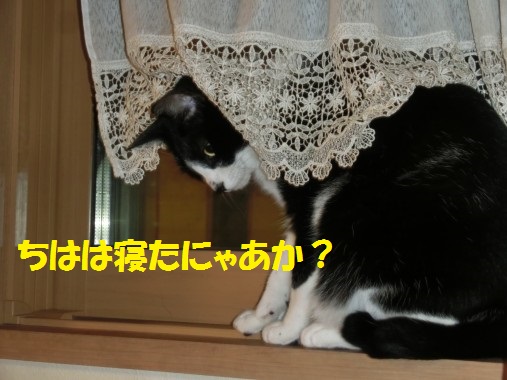 20130712-001.jpg