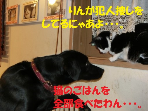 20130712-003.jpg