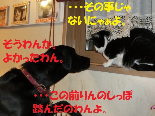 20130712-004.jpg