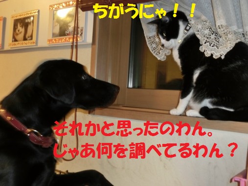 20130712-005.jpg