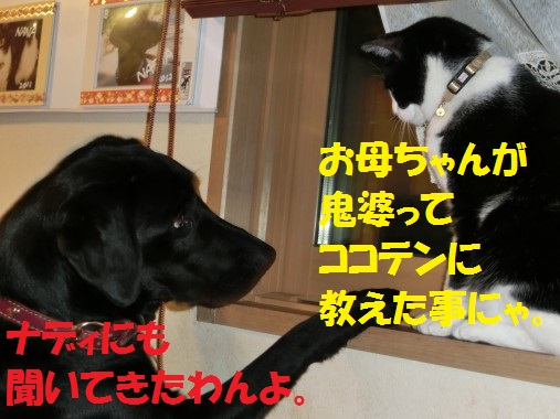 20130712-006.jpg