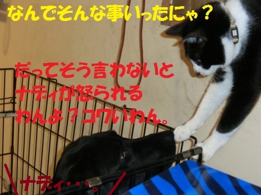 20130712-008.jpg