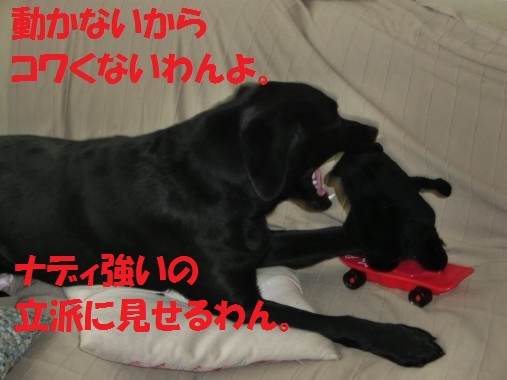 20130713-002.jpg