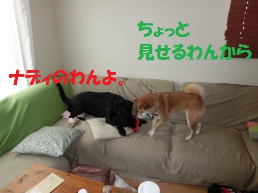 20130713-003.jpg
