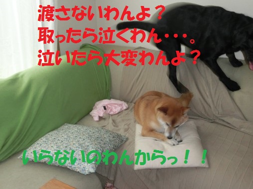 20130713-005.jpg