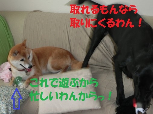 20130713-006.jpg