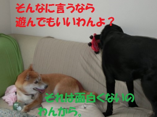 20130713-008.jpg