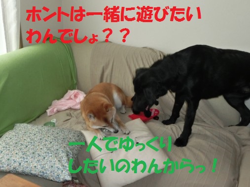20130713-009.jpg