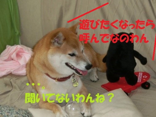 20130713-011.jpg
