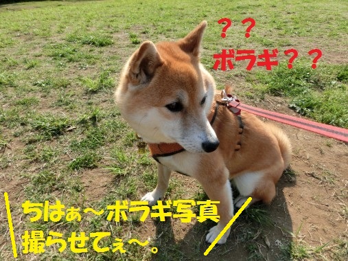 20130715-001.jpg