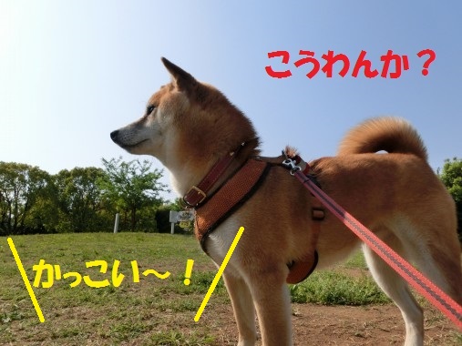 20130715-002.jpg