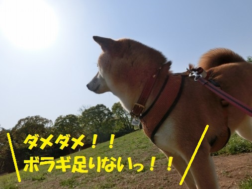 20130715-003.jpg
