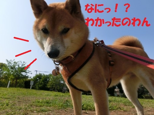 20130715-004.jpg