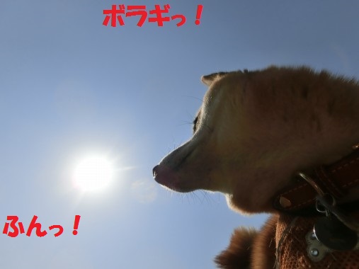 20130715-005.jpg