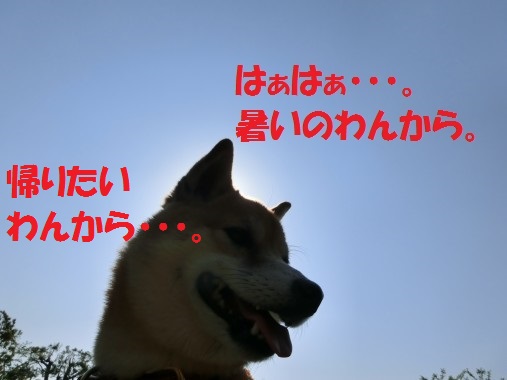 20130715-006.jpg