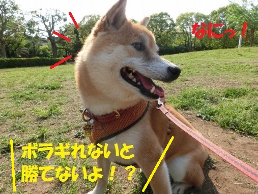 20130715-007.jpg