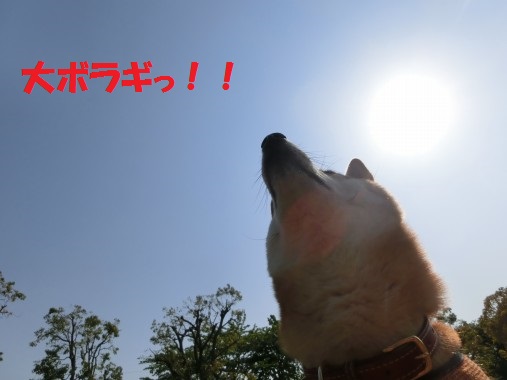 20130715-008.jpg
