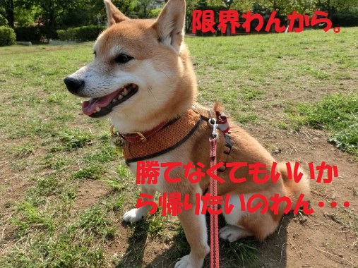 20130715-009.jpg