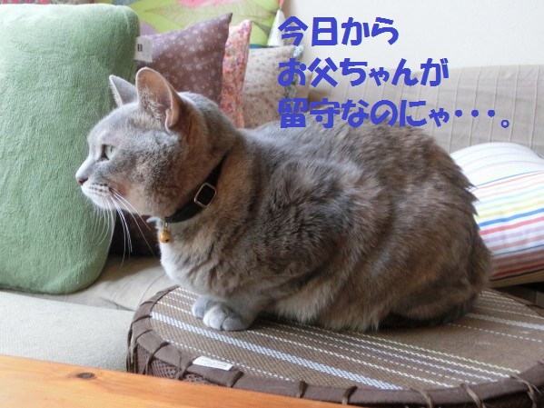 20130717-1.jpg
