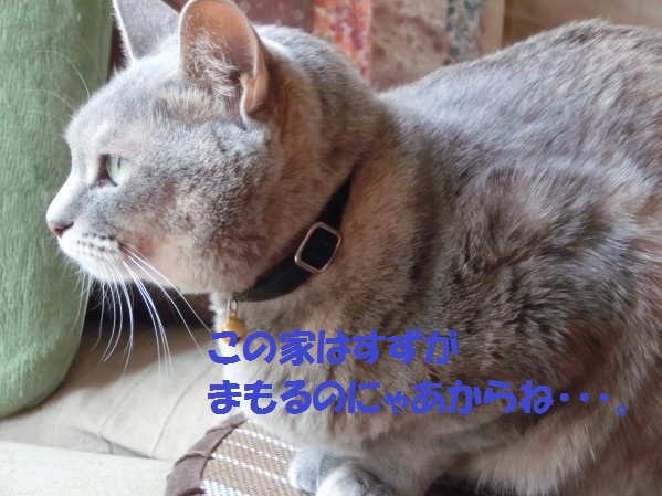 20130717-2.jpg