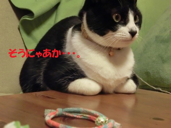 20130720-002.jpg