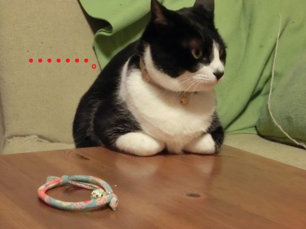 20130720-003.jpg