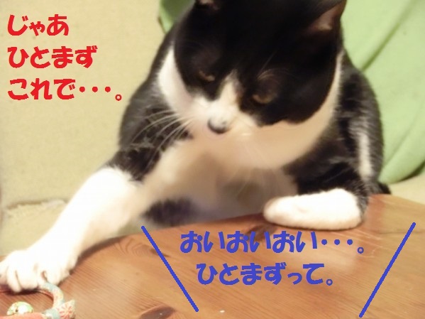 20130720-004.jpg