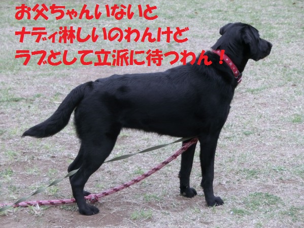 20130721-1.jpg