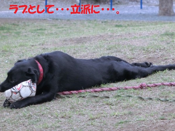 20130721-3.jpg