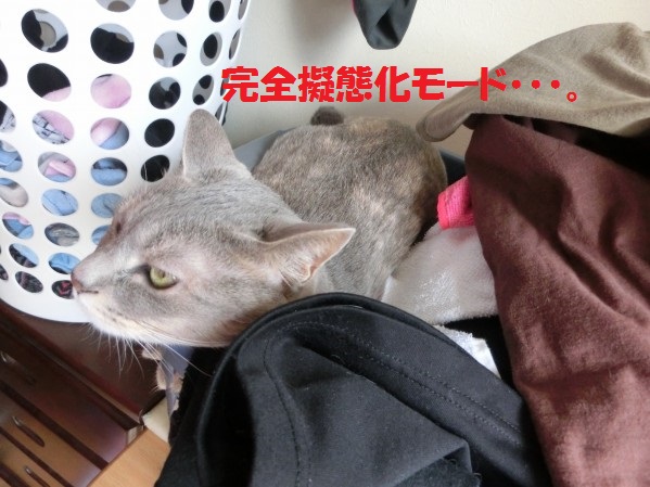 20130722-001.jpg