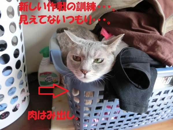 20130722-002.jpg