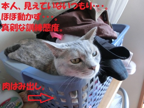 20130722-003.jpg
