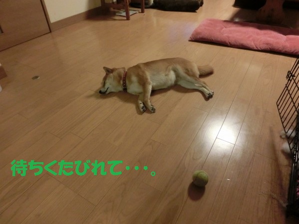 20130725-1.jpg