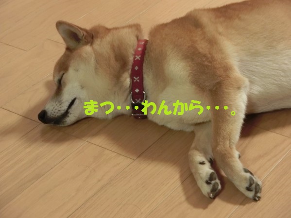 20130725-3.jpg