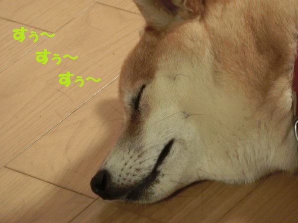 20130725-4.jpg