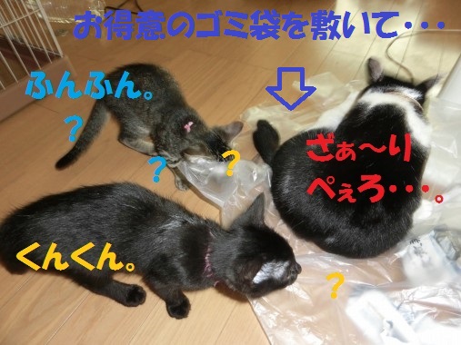 20130802-1.jpg