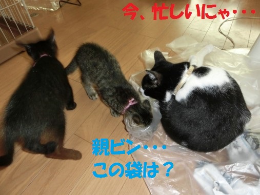 20130802-3.jpg